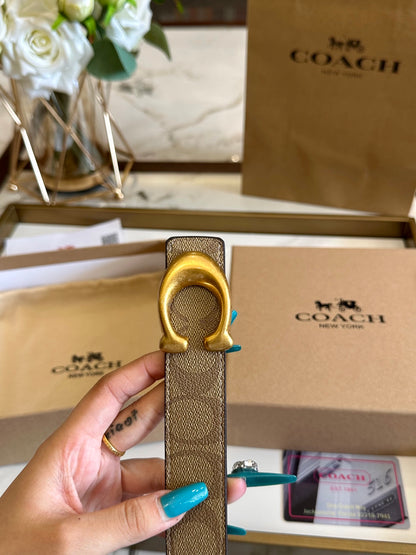 Co belt